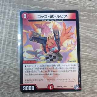 Cocco Bu Lupia R 19/74