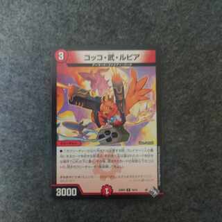 Cocco Bu Lupia R 19/74