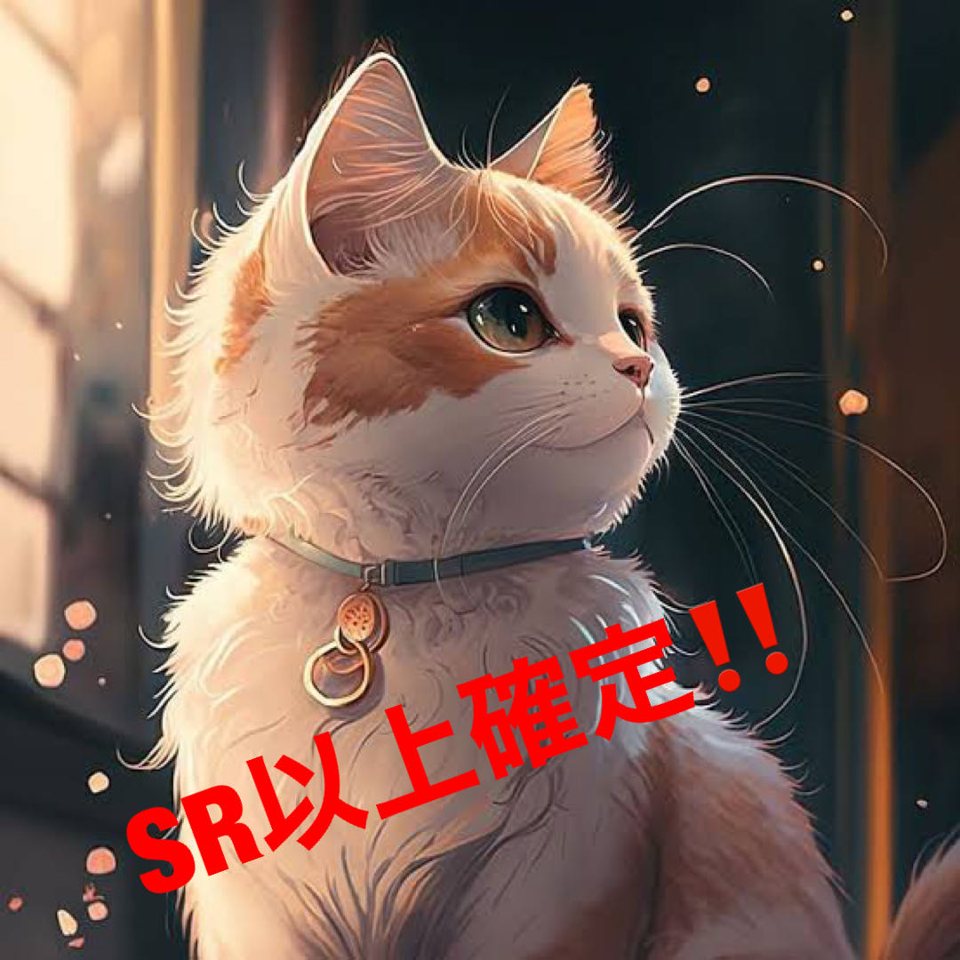 ⑮ SR以上確定オリパ！