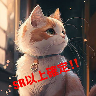 ⑮ SR以上確定オリパ！