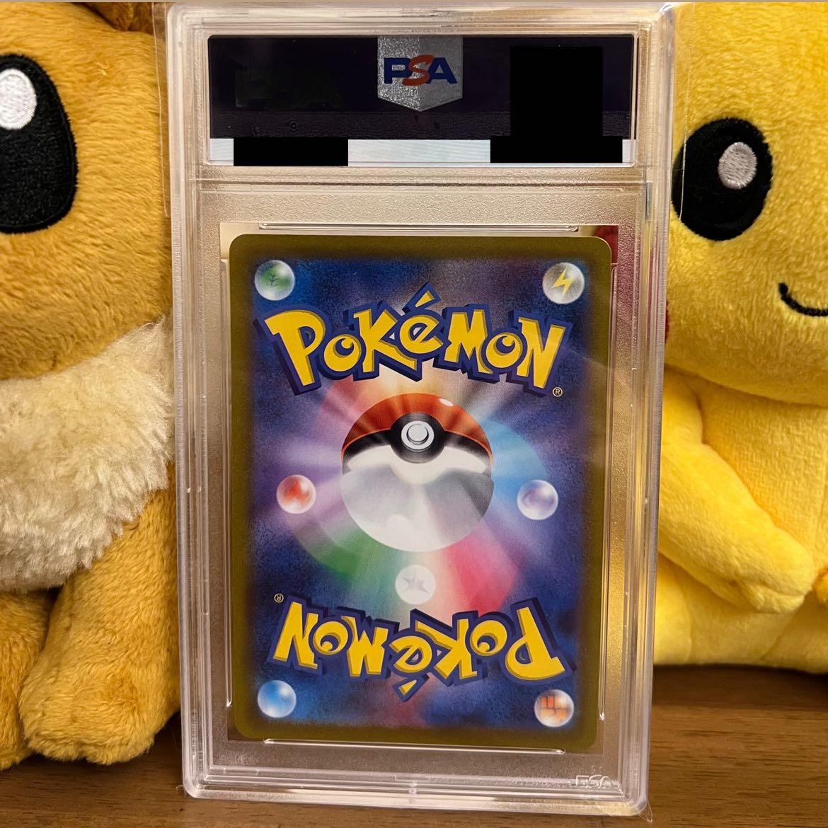 PSA10] Mimosa SAR without horizontal line