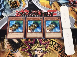 ファイバーポッド ノーマル 3枚セット