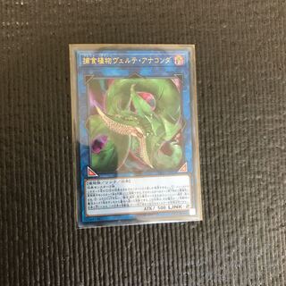 捕食植物ヴェルテ・アナコンダ(UR)