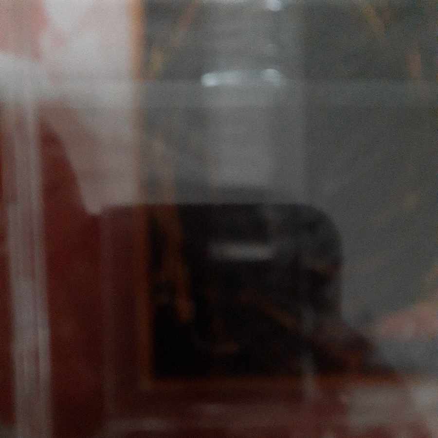 Slifer the Sky Dragon 20th Secret Rare JP002 Unopened