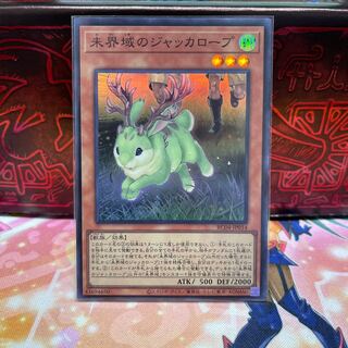 No.284 P屋　未界域のジャッカロープ 【スー】