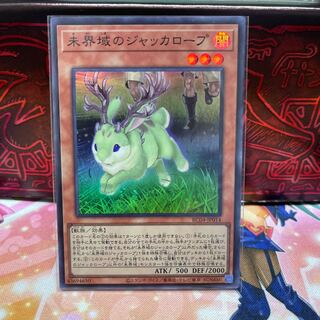 No.1778 P屋　未界域のジャッカロープ 【スー】