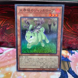 No.163 P屋　未界域のジャッカロープ 【スー】