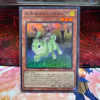 No.1461 P屋　未界域のジャッカロープ 【スー】