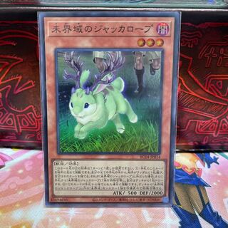 No.1428 P屋　未界域のジャッカロープ 【スー】