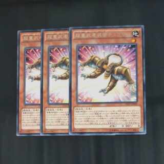 Superheavy Samurai Soulpeacemaker rare JP009✕3