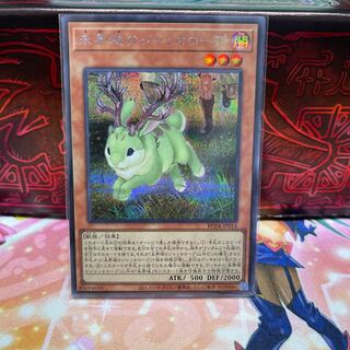 No.283 P屋　未界域のジャッカロープ 【シク】