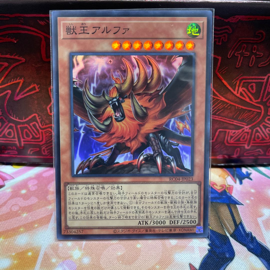 No.617 P屋　獣王アルファ 【スー】