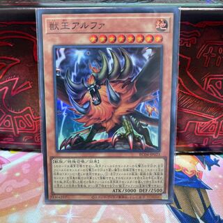 No.1365 P屋　獣王アルファ 【スー】