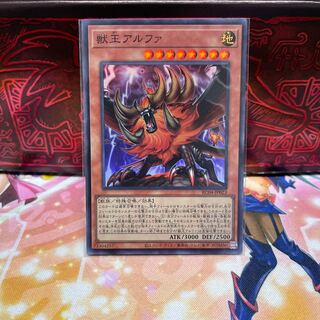 No.894 P屋　獣王アルファ 【スー】