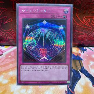 No.196 P屋　サモンリミッター 【シク】