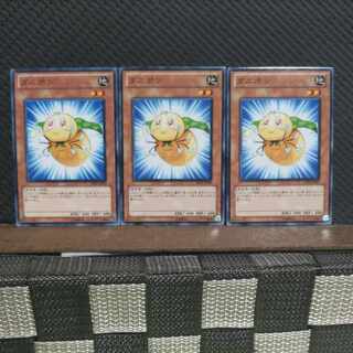 【ぽぽたん】遊戯王  #2082  ダニポン 3枚 ノーマル