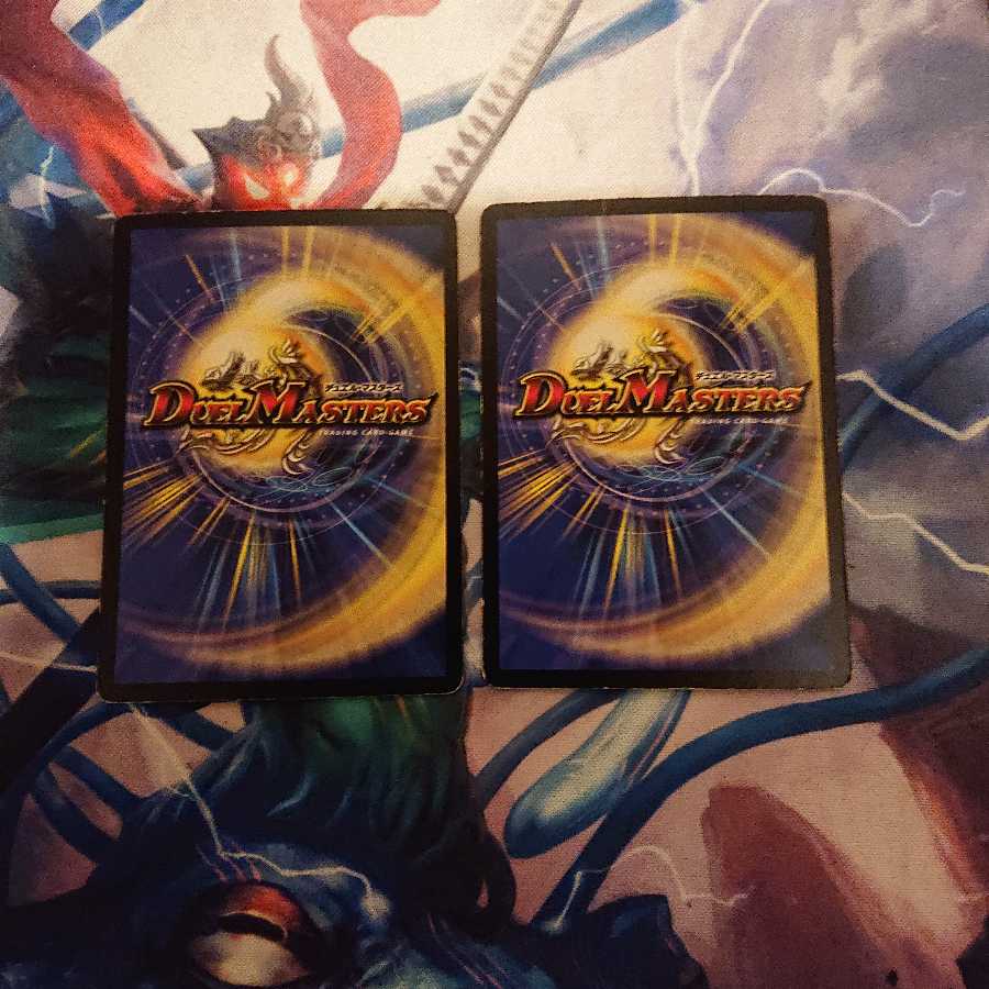 「ジャンク」黒神龍ザルバ