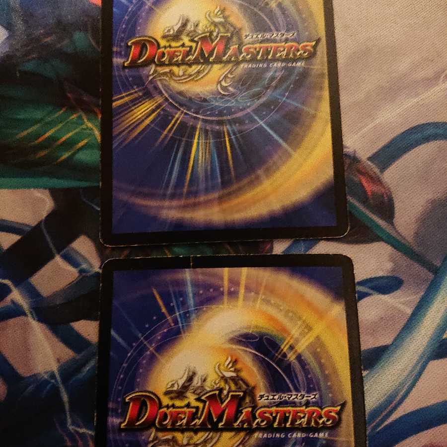 「ジャンク」黒神龍ザルバ