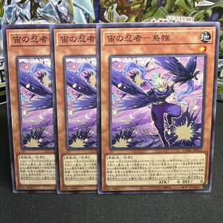 宙の忍者-鳥帷 ノーマル JP015