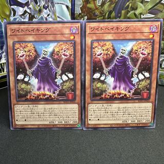 Wightbaking Normal rare JP035