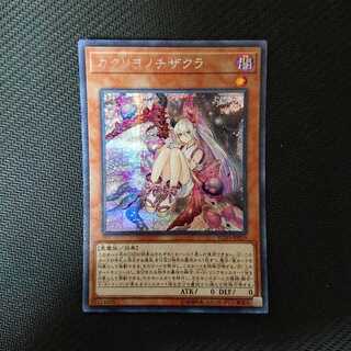 カクリヨノチザクラ