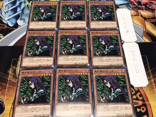 黒き森のウィッチ ノーマル 9枚セット