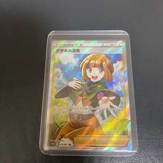 Vivify sr in Gardenia