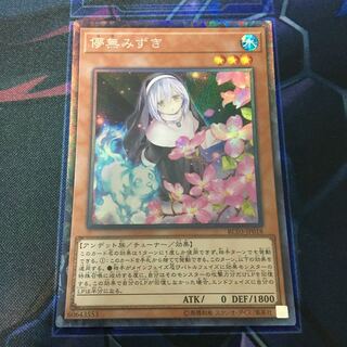 Mizuki Ephemeral Dream New Illustration Collector's Rare