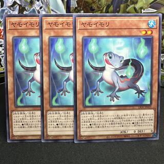 ヤモイモリ ノーマル JP029