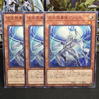 次元同異体ヴァリス ノーマル JP028