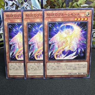 Kikou no Vroulesense Normal JP031