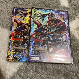 アカカゲレッドシャドウ　2枚