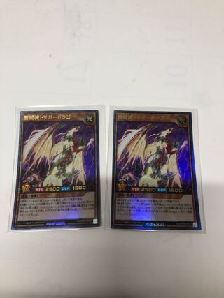 雷闘騎トリガードラゴ2枚セット