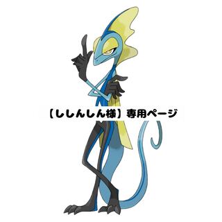 【ししんしん様】専用ページ