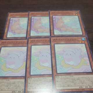 Melfi Wallaby Normal JP022