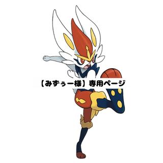 【みずぅー様】専用ページ