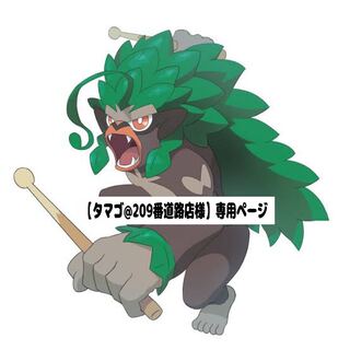 【タマゴ@209番道路店様】専用ページ