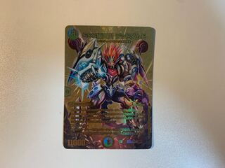 SSS Class Natural Disaster Dead Damned PsychicG10/PsychicG10