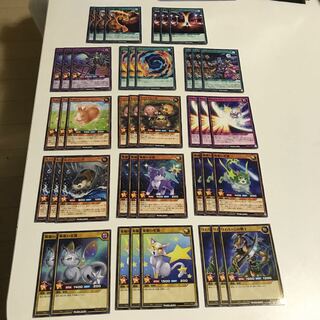 スターキャット　獣族　デッキパーツ　全41枚