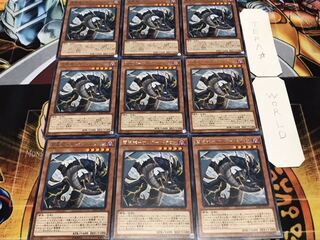 雷電龍-サンダー・ドラゴン レア 9枚セット