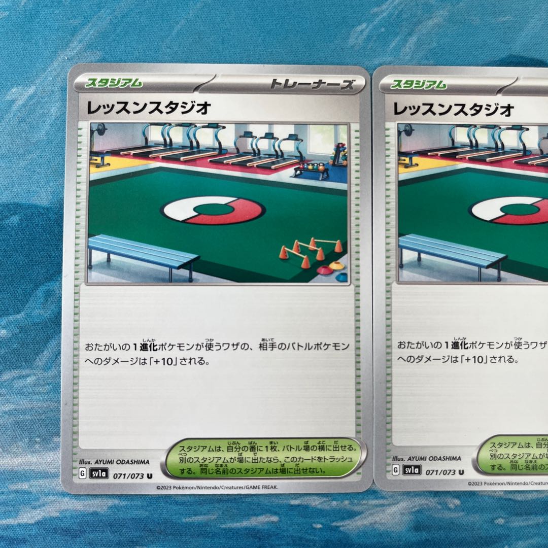 2 pokekas Lesson studio