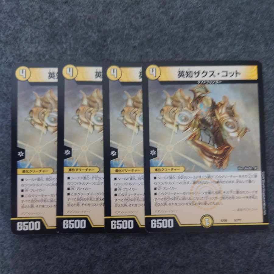 Eich Zaks Cotto 5/????????????