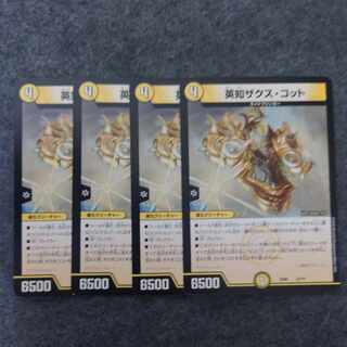 Eich Zaks Cotto 5/????????????