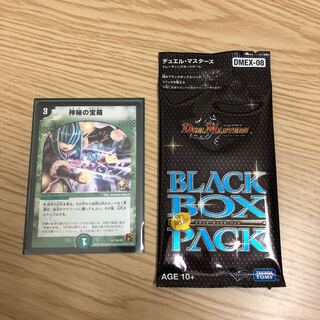 【即購入OK】神秘の宝箱