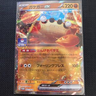 Asian freshwater crab (Geothelphusa dehaani) ex.