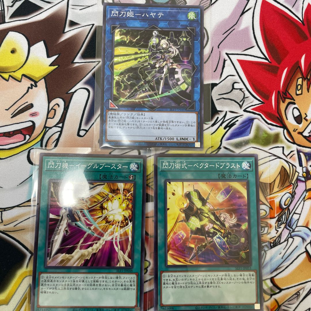 Sentohime-Hayate Normal JP040