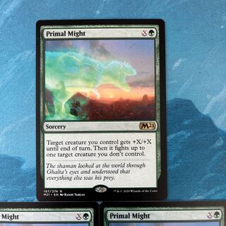 MTG 4枚 原初の力