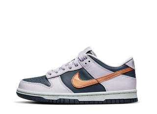 Nike Gs Dunk Low "Copper Swoosh" ZapdosSnubbull/Bearly Grape/VioletofDisappear/Metallic Copper DX1663-400 25cm