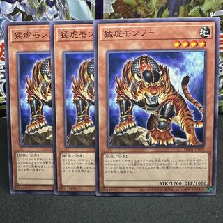 Slashing Tiger Mon Fu Normal JP024