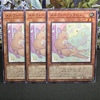 Melfi Wallaby Normal JP022